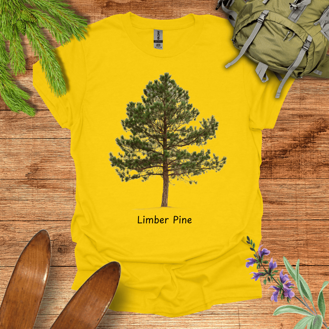 Limber Pine Tree T-Shirt Daisy / S
